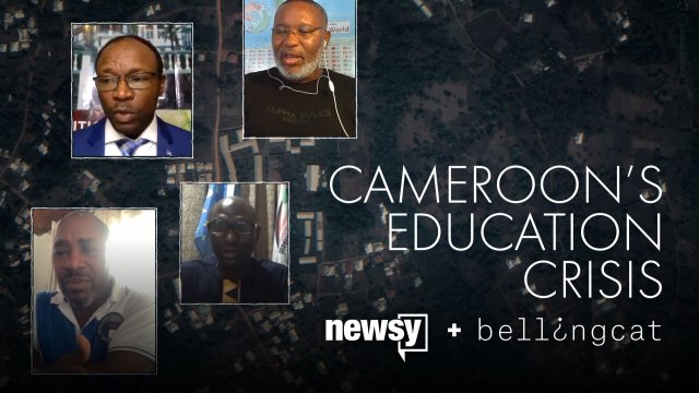 Newsy and Bellingcat spoke with multiple sources on the ground in Cameroon and in the diaspora.