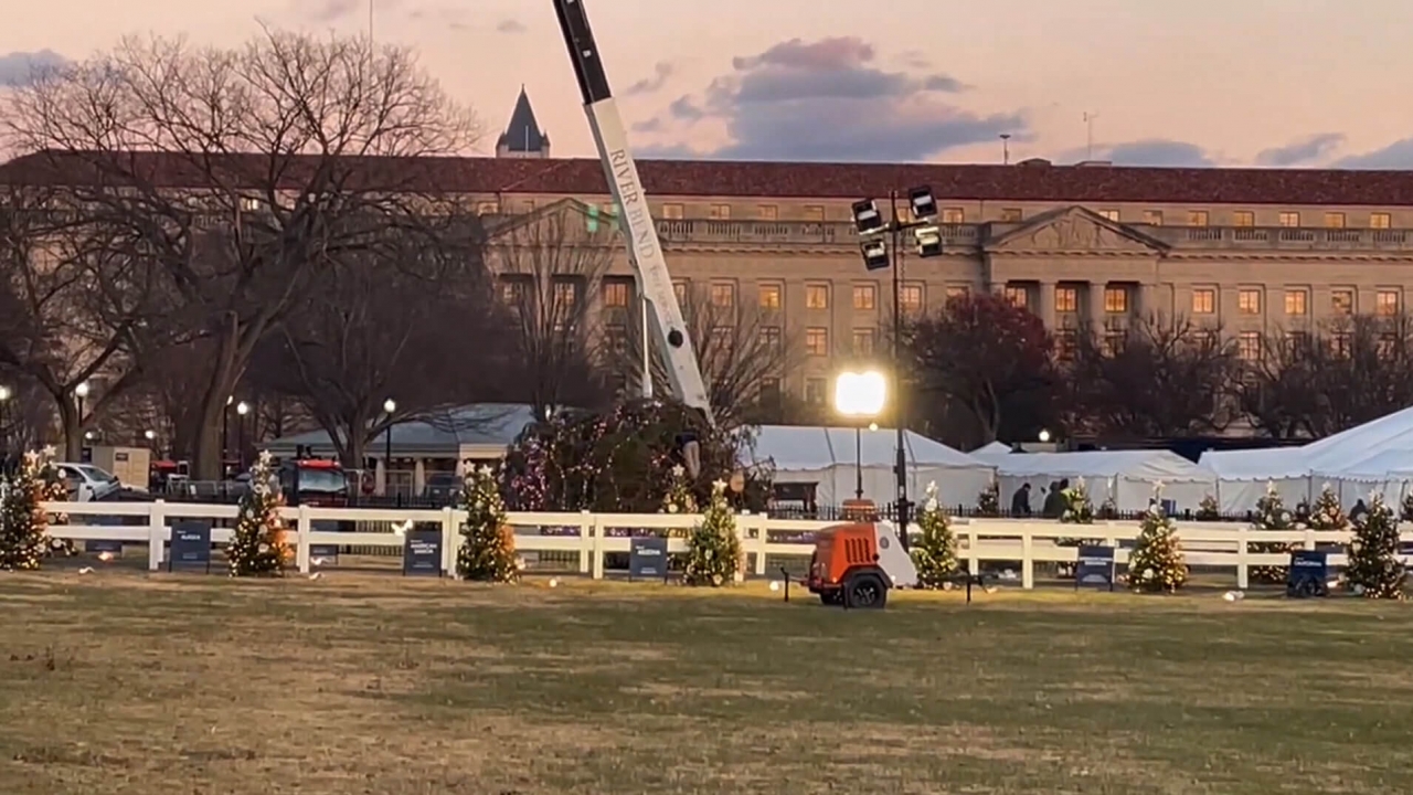 The National Christmas Tree fell over.